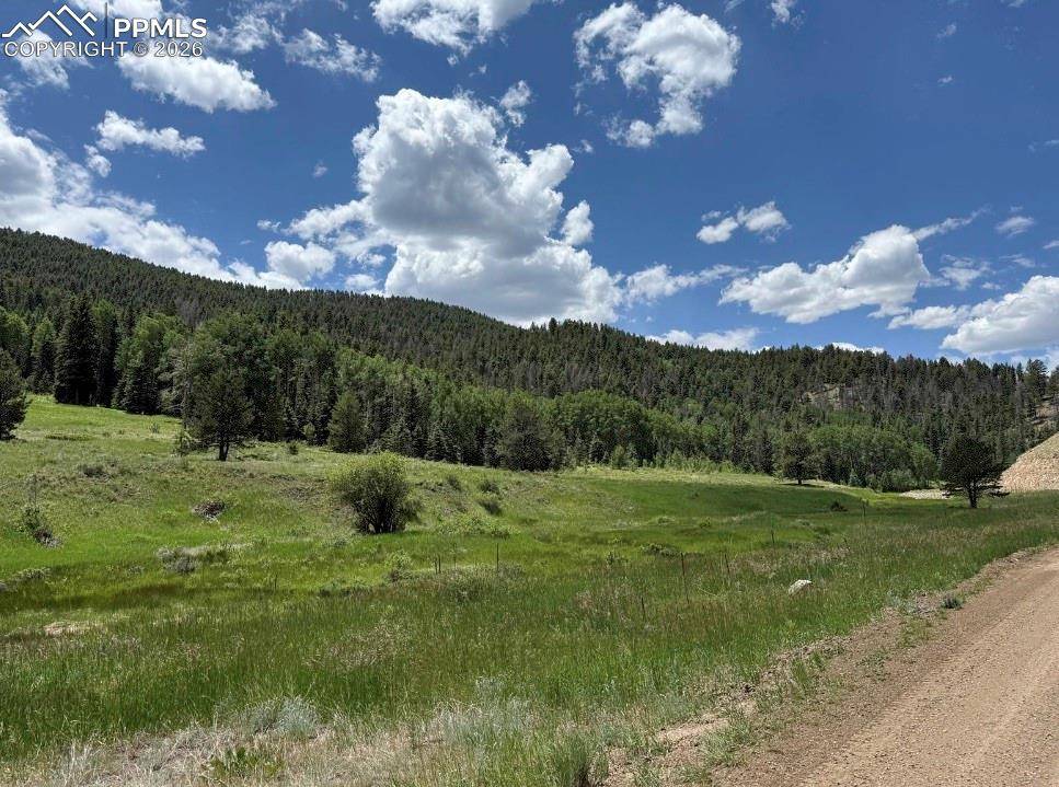 Westcliffe, CO 81252,Lot 1 County Road 358