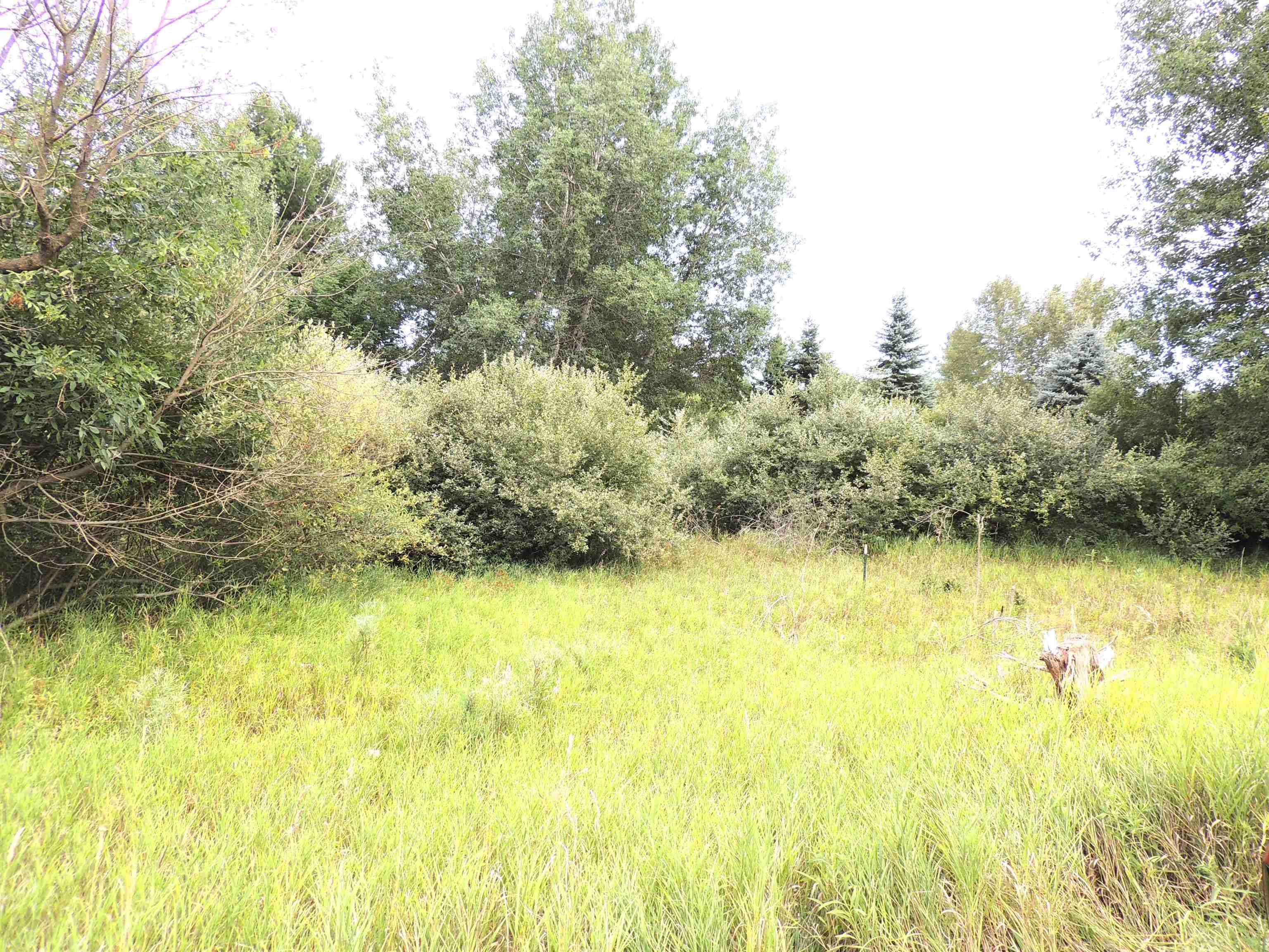 Lake Isabella, MI 48893,970 N Rolland RD