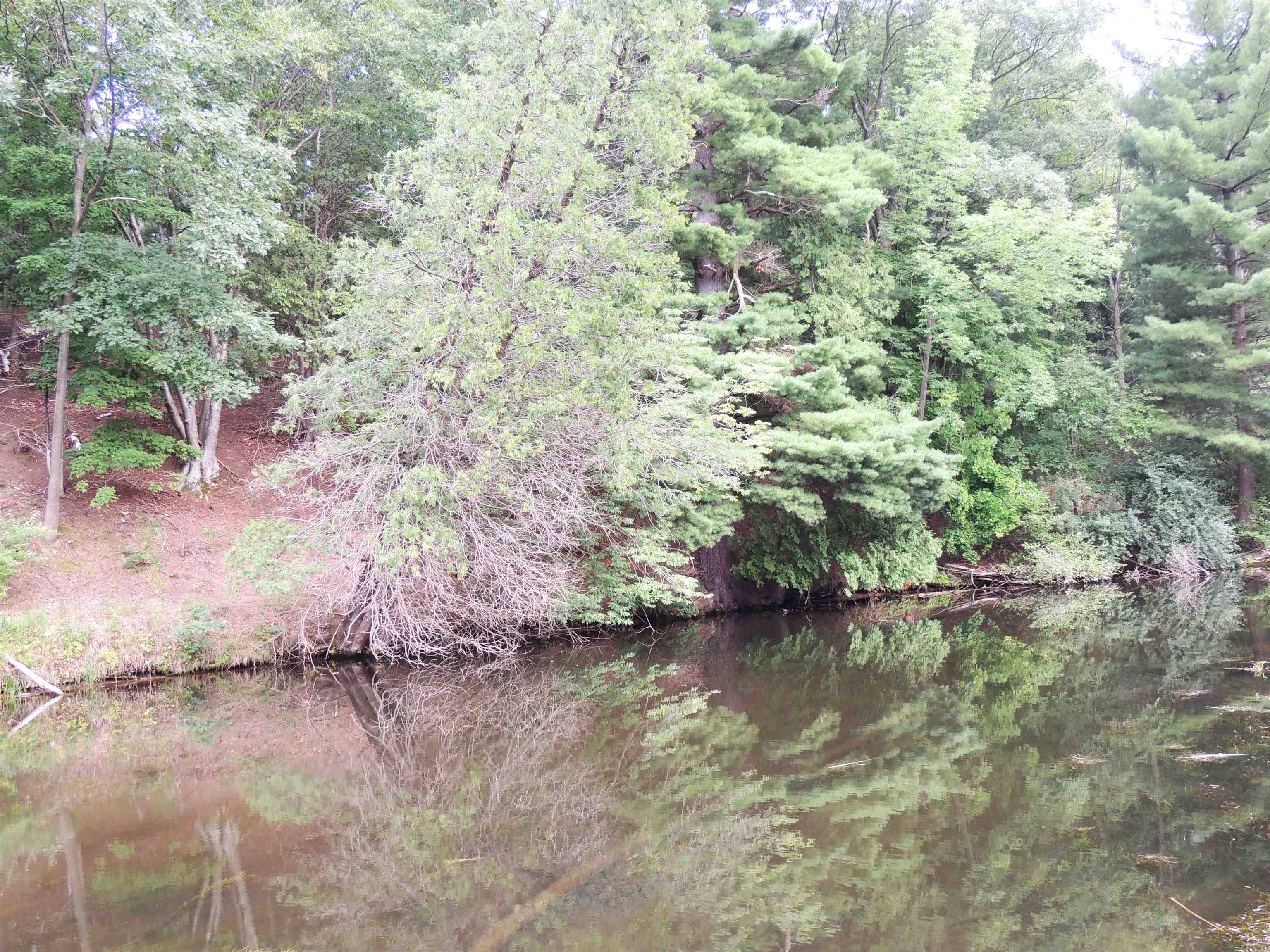 Lake Isabella, MI 48893,970 N Rolland RD