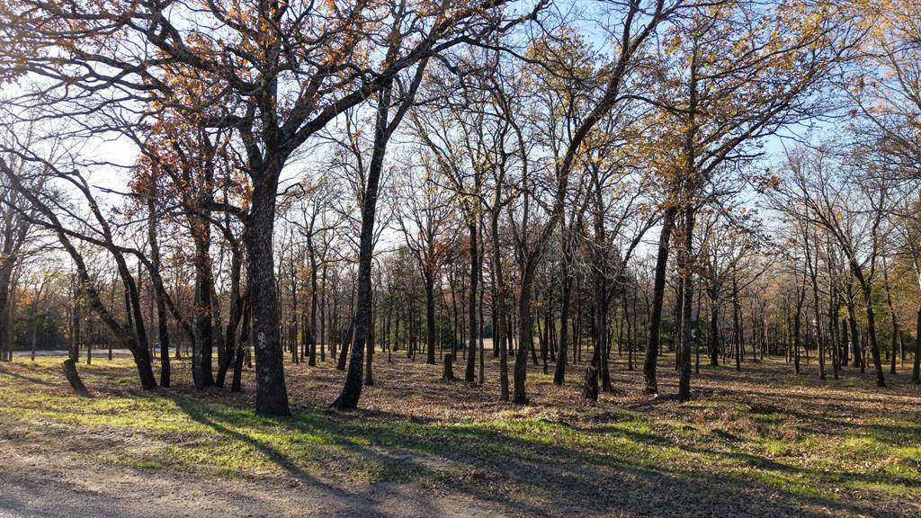 100 Oakmont Drive, Mabank, TX 75147