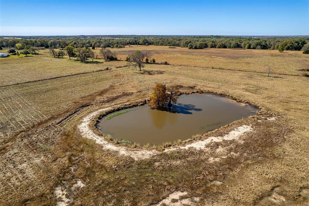 Wills Point, TX 75169,000 FM 1504