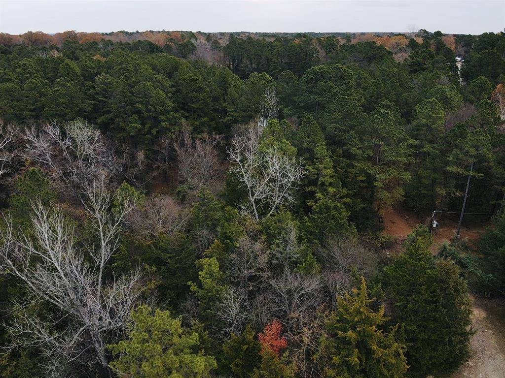 Powderly, TX 75473,42 CR 35720