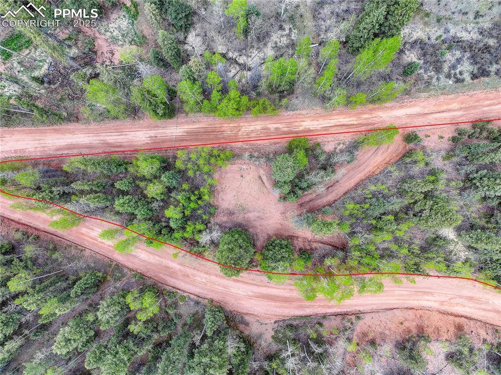 Divide, CO 80814,416 Willow RD