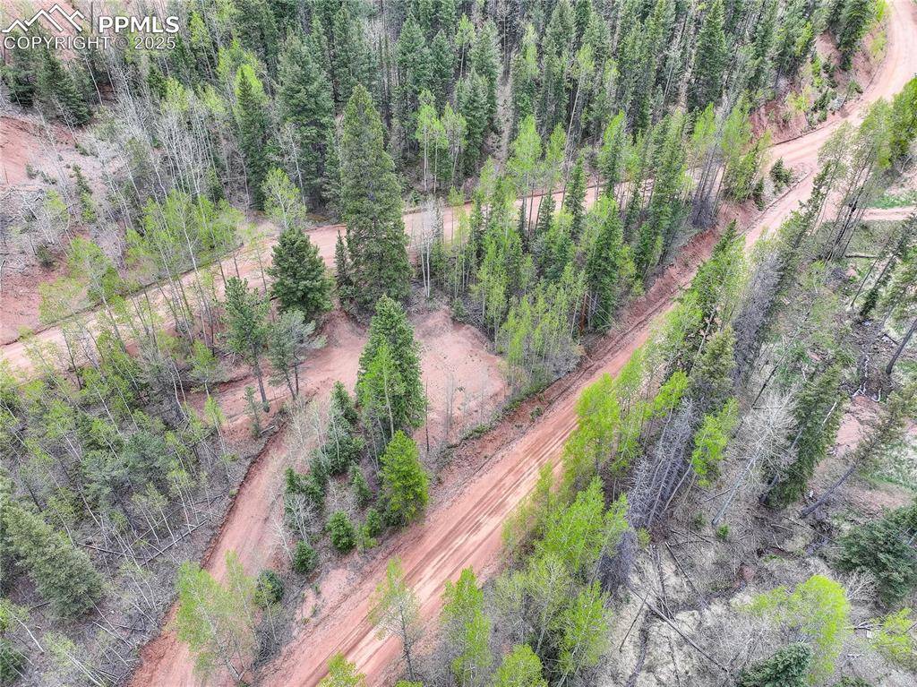 Divide, CO 80814,416 Willow RD