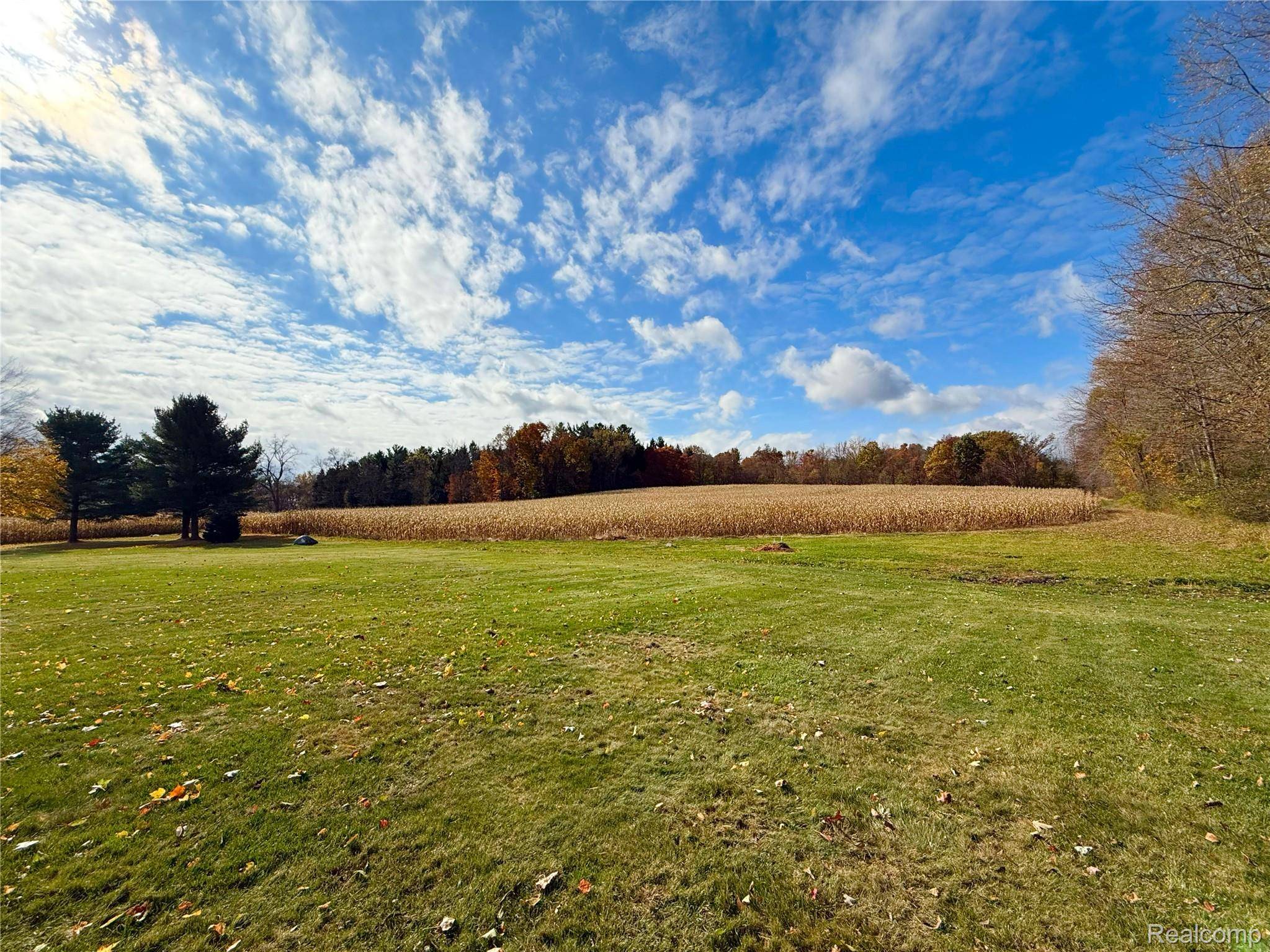 Parma, MI 49269,2770 N Dearing RD