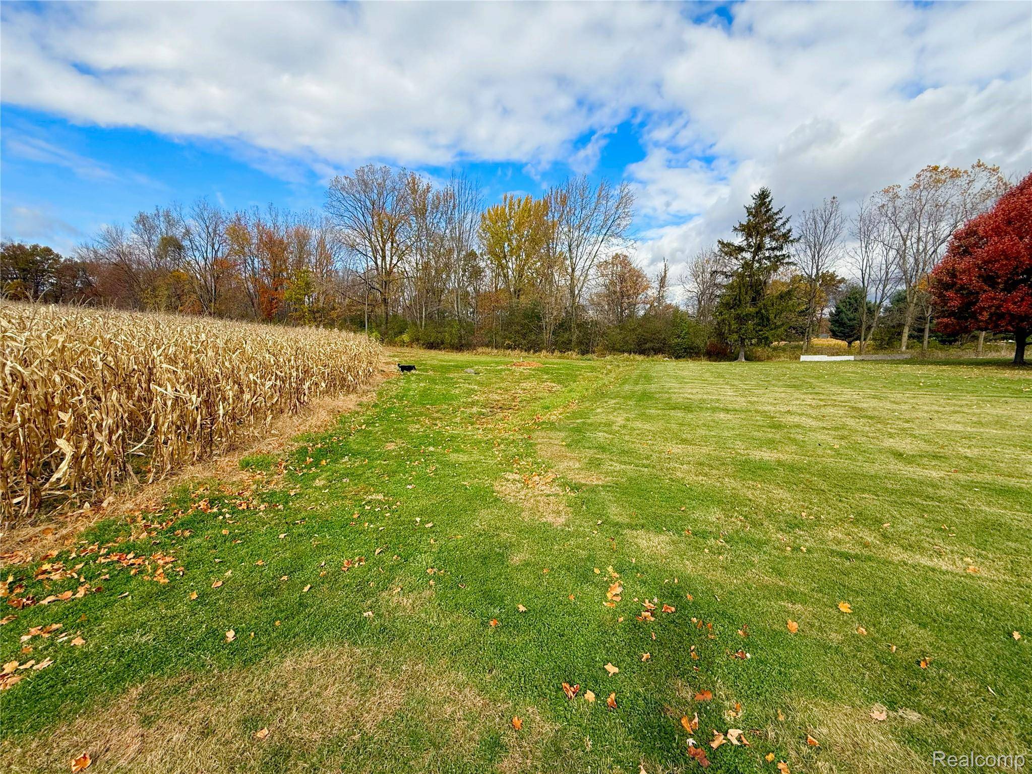 Parma, MI 49269,2770 N Dearing RD