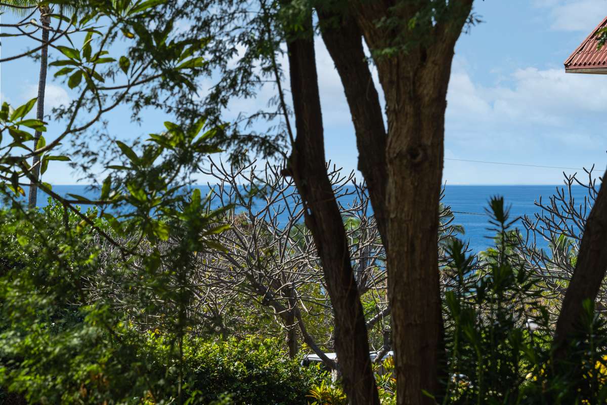 Kailua Kona, HI 96740,75-5865 WALUA RD #C318