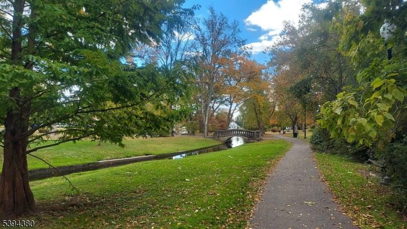 Westfield Town, NJ 07090,202 Mountain Ave