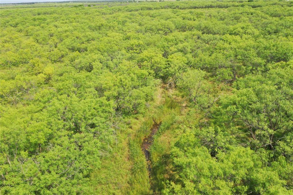 TBD Davis Ln-TRACT 8, Bellevue, TX 76228