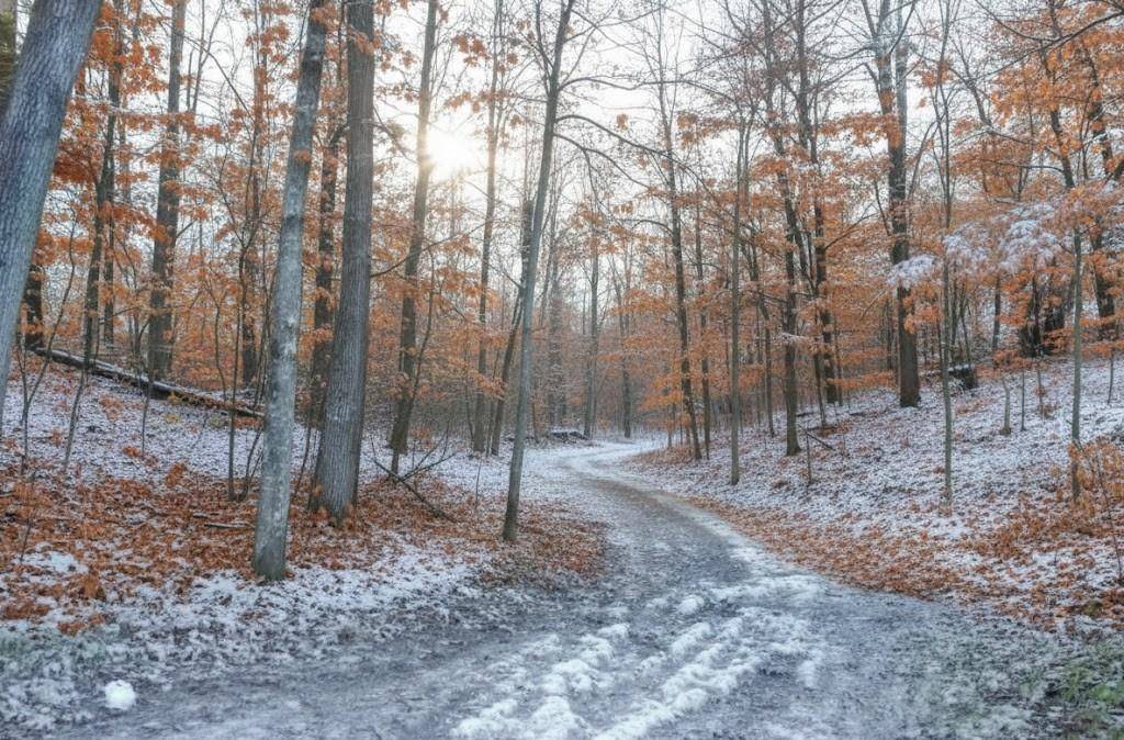 Grawn, MI 49637,4167 Maple Hill RD