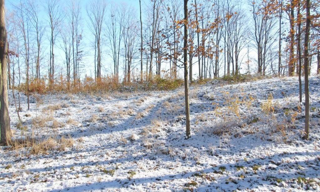 Grawn, MI 49637,4167 Maple Hill RD