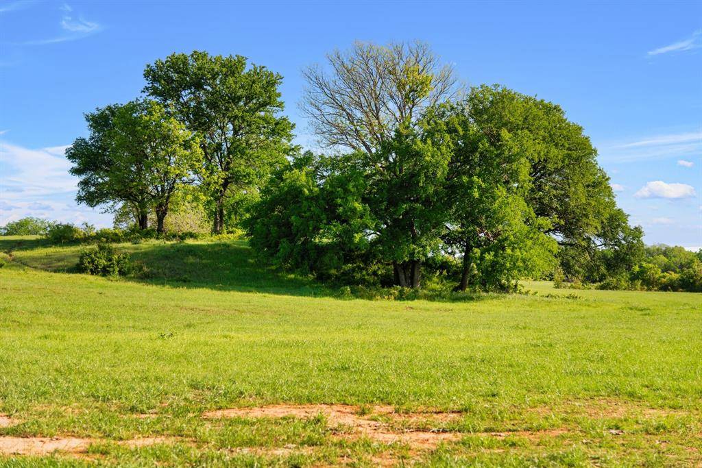 Alvord, TX 76225,1480 CR-1180