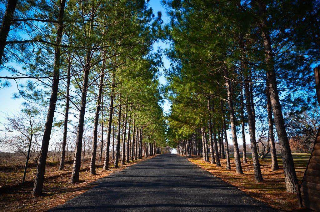 Streetman, TX 75859,131 Lincoln Drive