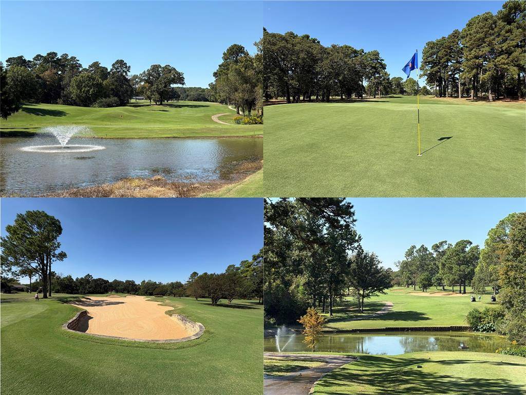 Hideaway, TX 75771,1743 Barbara Court