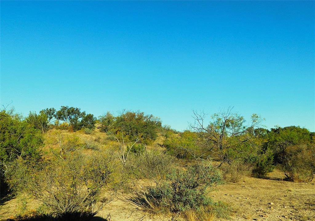 Brownwood, TX 76801,Tract 4 County Road 131