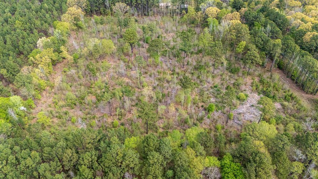 Troup, TX 75789,19727 CR 2160