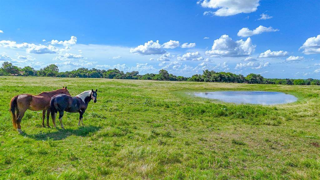 Ennis, TX 75119,TBD Lot 4 NW CR 0150