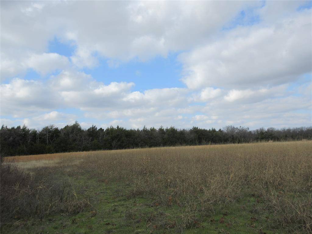 Bonham, TX 75418,TBD County Road 3040