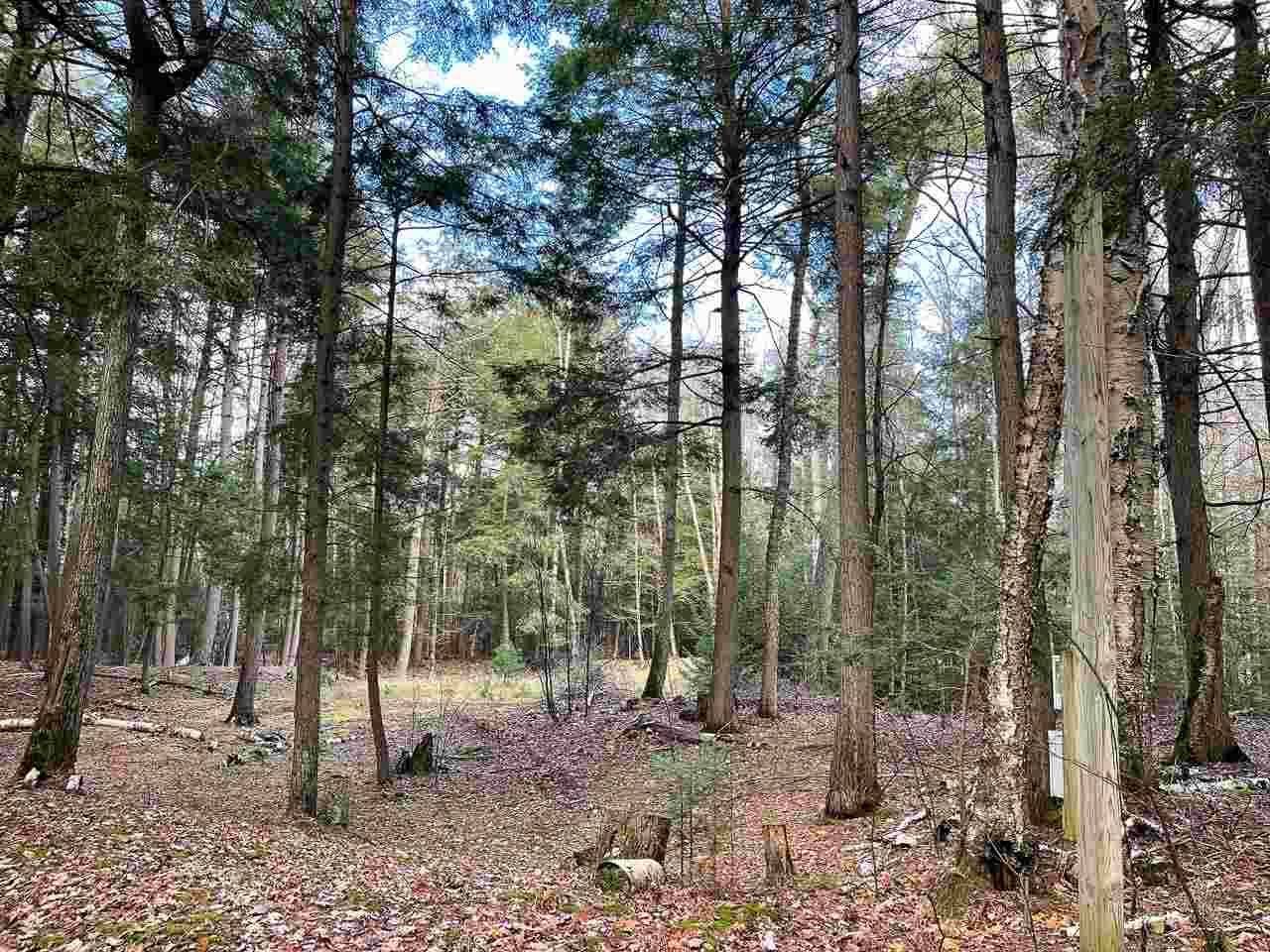 Beaver Island, MI 49782,TBD East Side DR