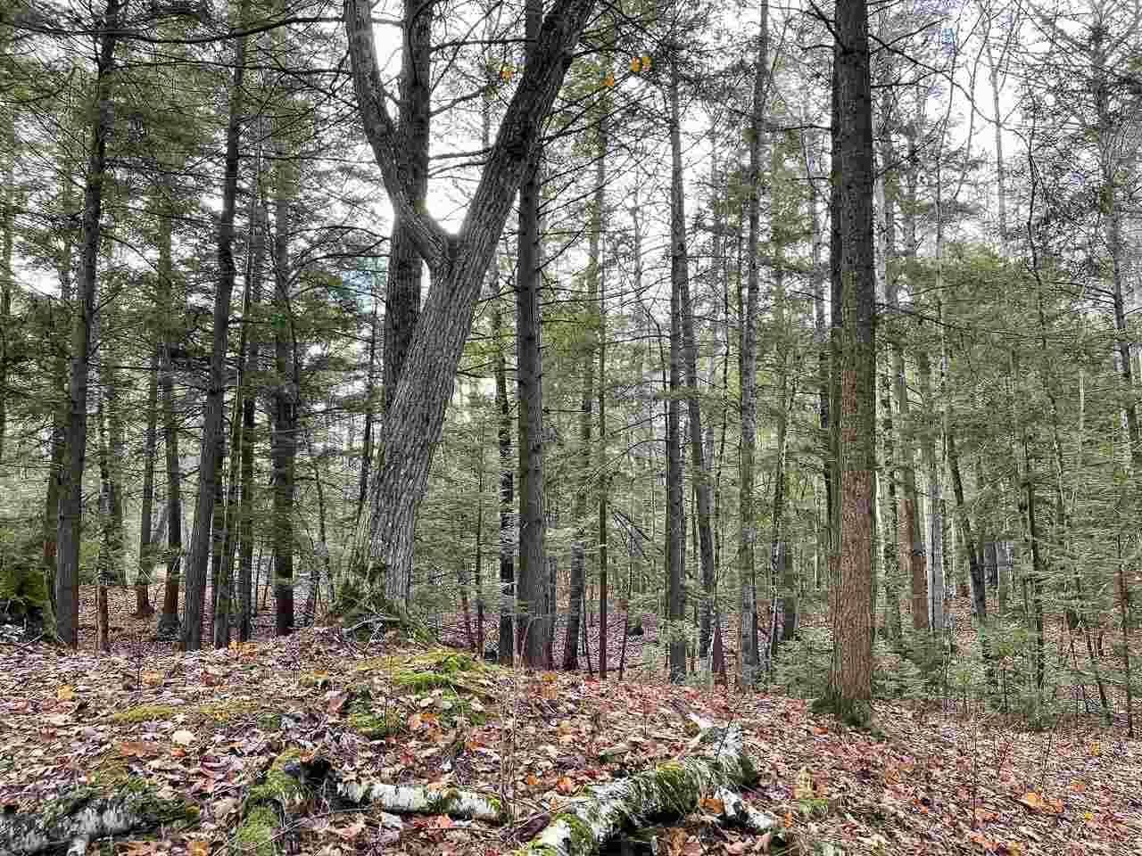 Beaver Island, MI 49782,TBD East Side DR