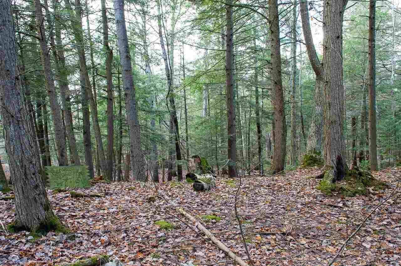 Beaver Island, MI 49782,TBD East Side DR