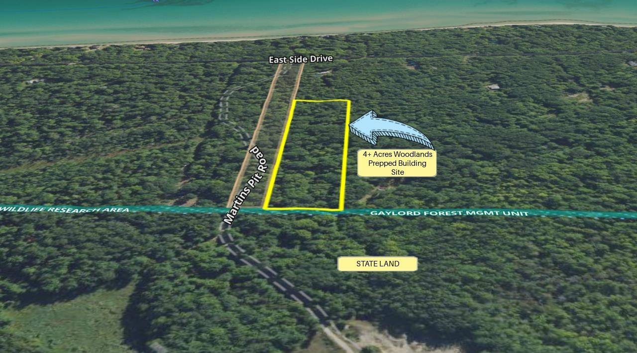 Beaver Island, MI 49782,TBD East Side DR