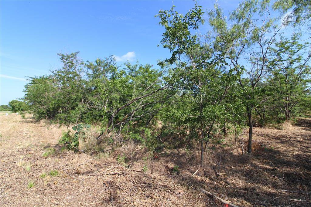 Kaufman, TX 75142,TBD Lot 6 FM 2860