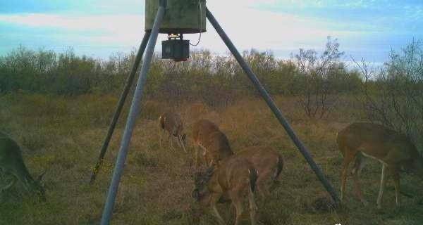 Bellevue, TX 76228,000 Hopewell