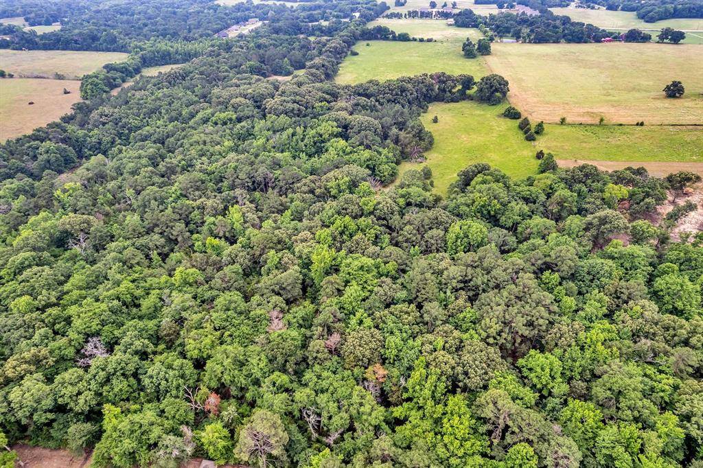 Tyler, TX 75706,15000 County Road 472 #44 Acres