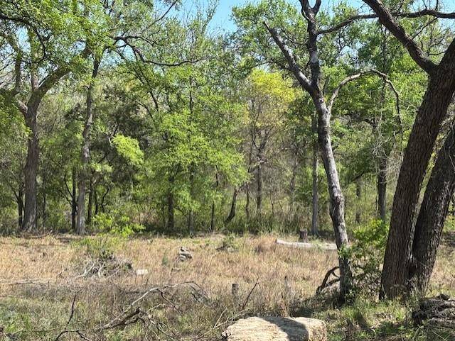 Weatherford, TX 76087,1255 Eagles Bluff Drive