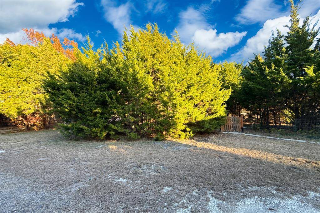 Nevada, TX 75173,TBD County Road 919 #Lot 23B