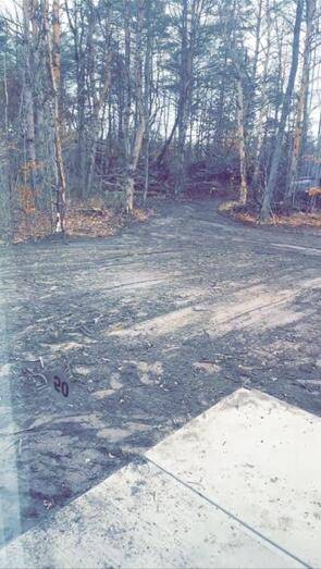 Howard City, MI 49329,9036 N Jones RD