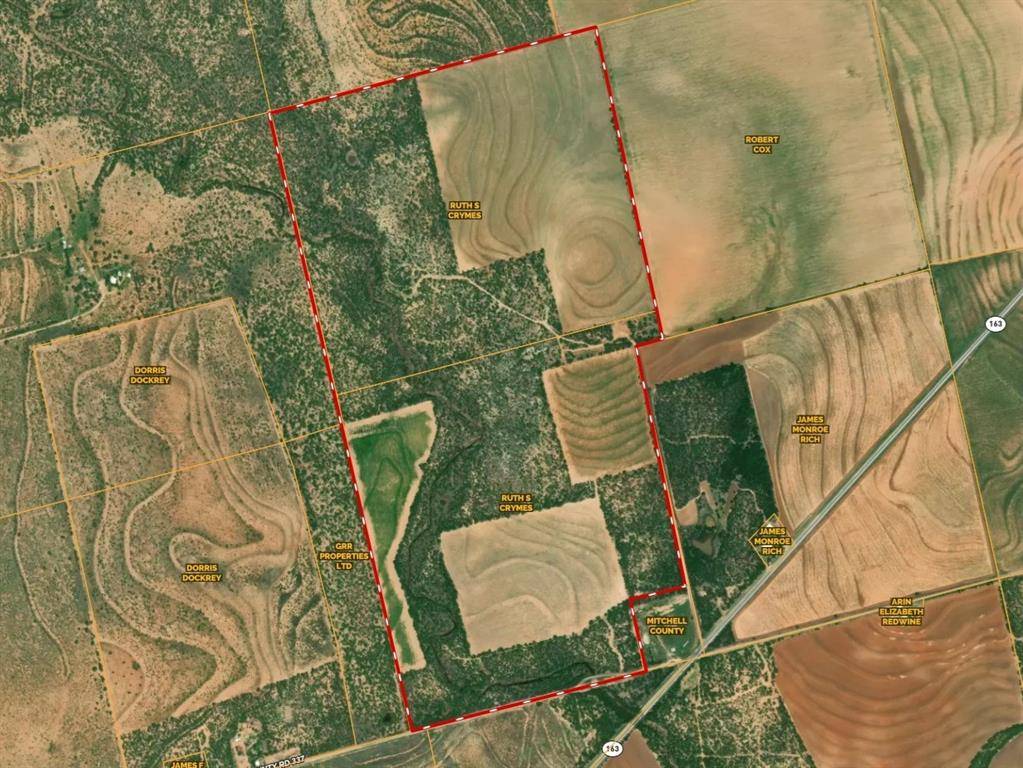 7000 County Rd 335, Colorado City, TX 79512