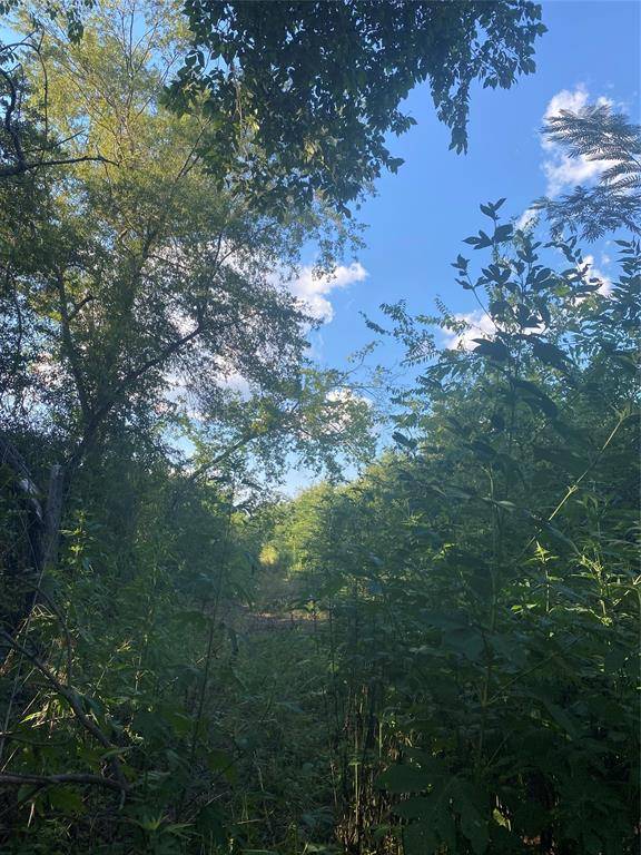 Sulphur Springs, TX 75482,LOT 39 Harris