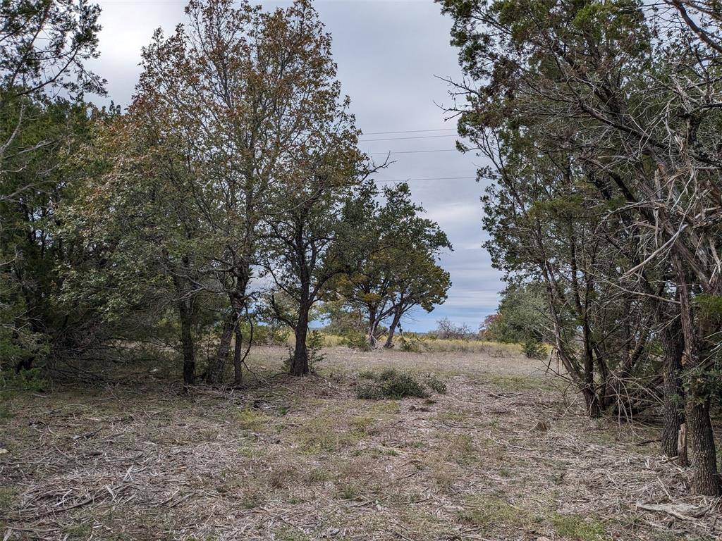 1314 CR 127, Carlton, TX 76456