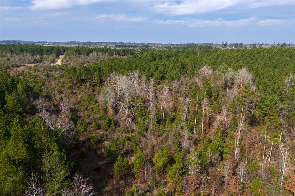 00 County Road 1247, Center, TX 75935