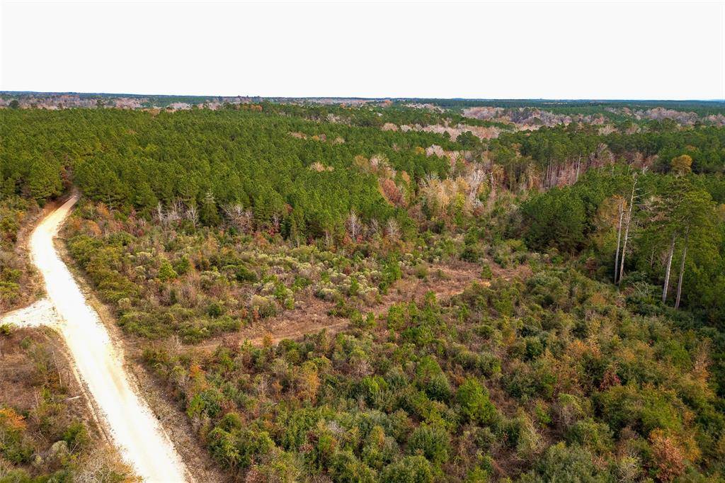 00 County Road 1247, Center, TX 75935