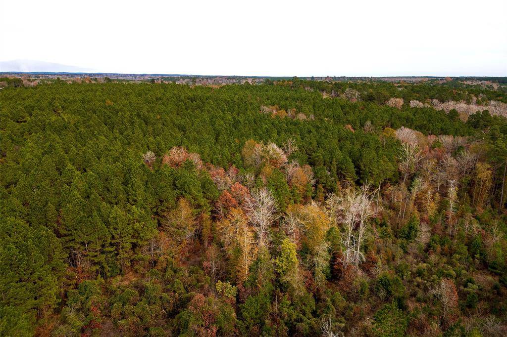 00 County Road 1247, Center, TX 75935