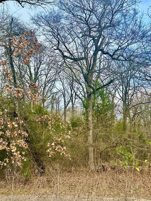 Log Cabin, TX 75148,0 Daniel Boone Lane