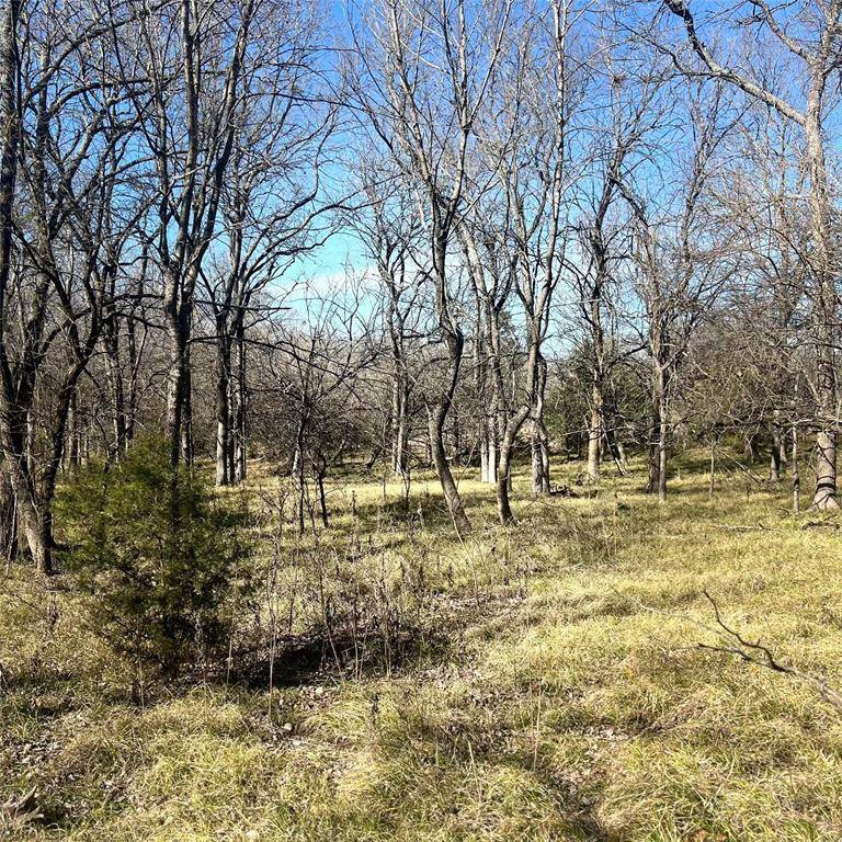 Sulphur Springs, TX 75482,TBD Tx-154