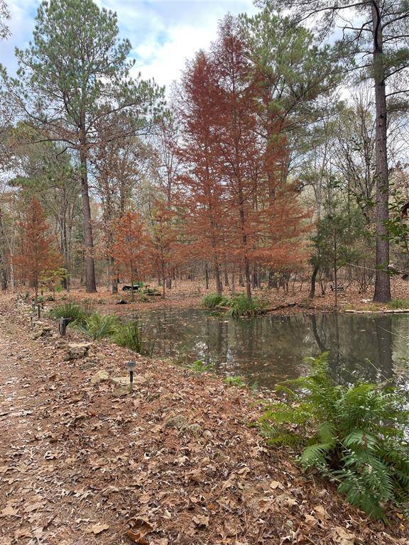 Hawkins, TX 75765,0000 CR 3450