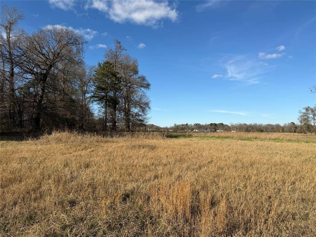 Bullard, TX 75757,21348 Memory Lane