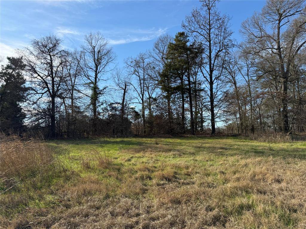 Bullard, TX 75757,21348 Memory Lane