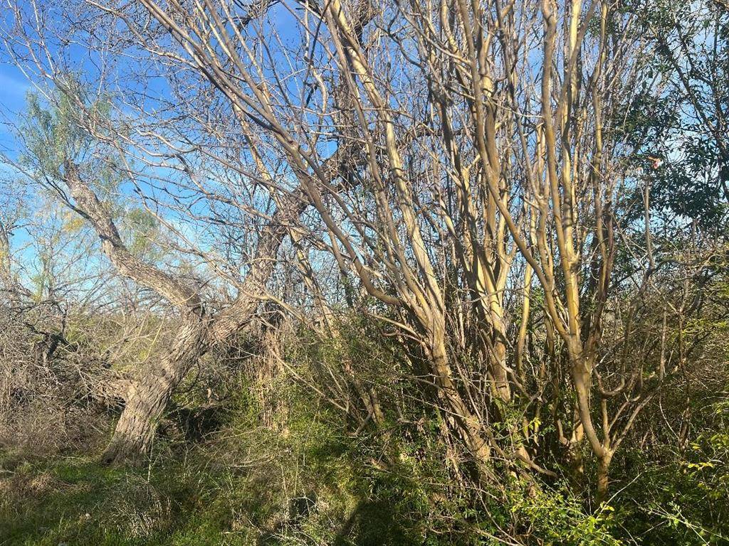 Fort Worth, TX 76103,4200 Brentwood Stair Road