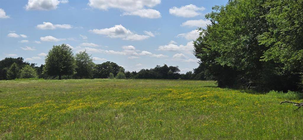 Malakoff, TX 75148,12077 County Road 1200