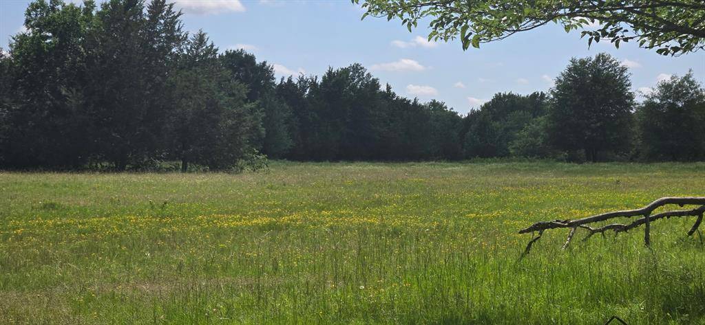 12077 County Road 1200, Malakoff, TX 75148