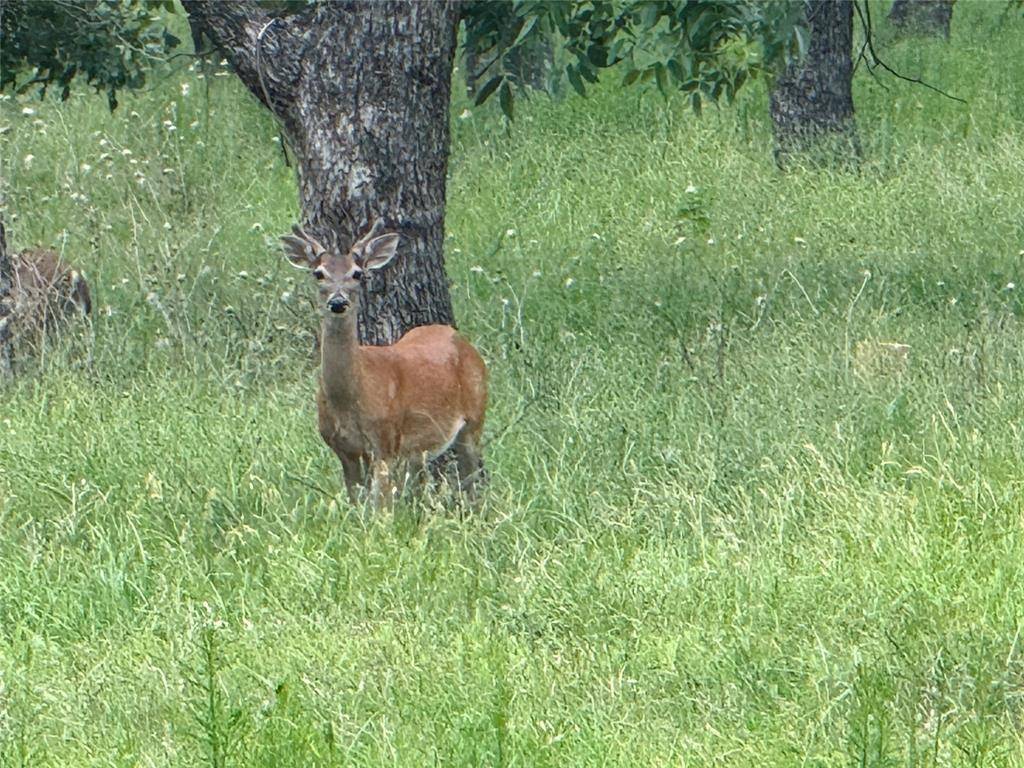 Granbury, TX 76049,3140 E Landings S