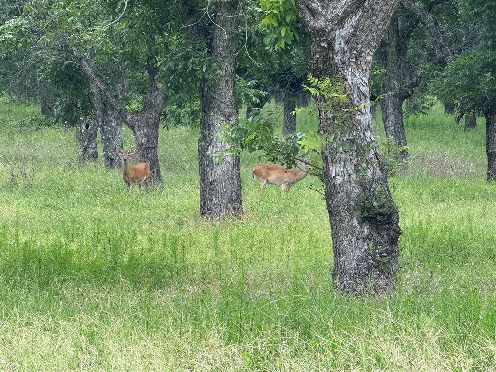 Granbury, TX 76049,3140 E Landings S