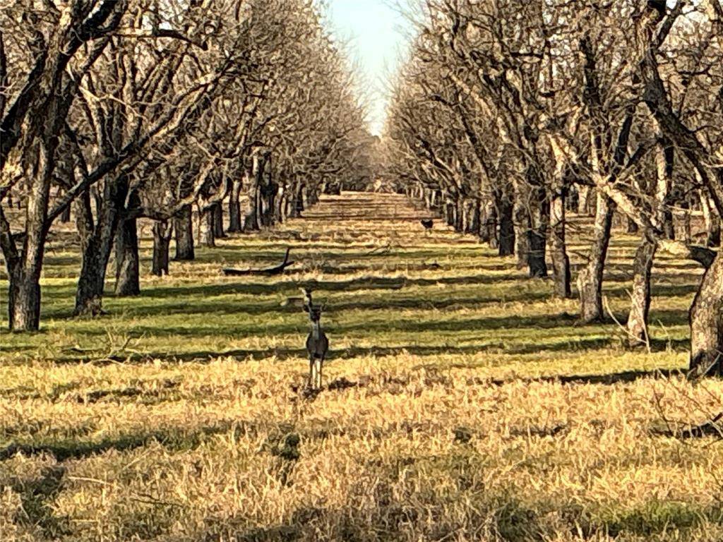 Granbury, TX 76049,3140 E Landings S