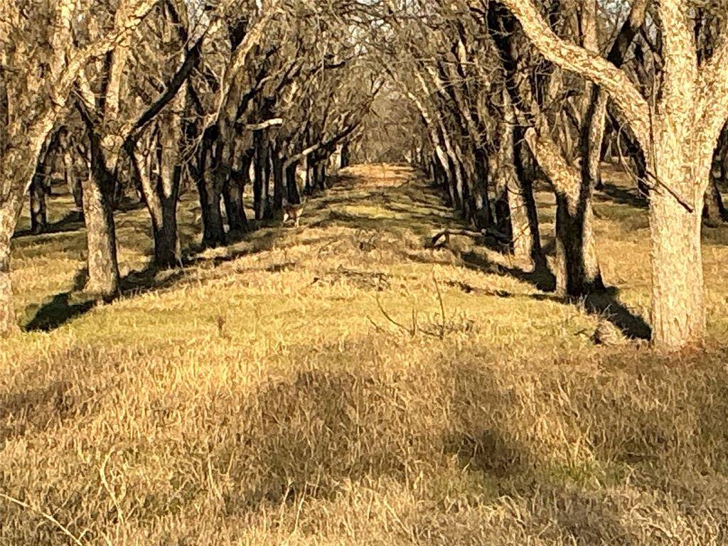 Granbury, TX 76049,3140 E Landings S